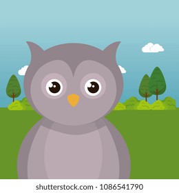cute owl in the field landscape character