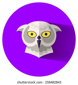 cute owl flat icon vector illustration