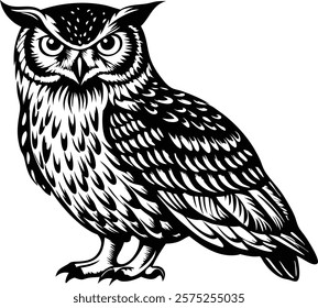  Cute owl in front of white background vector art illustration 