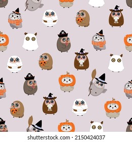 Cute owl and ghost  pirate   witch costume  Little bird in Halloween party seamless pattern  Animal holidays cartoon character wallpeper    Vector