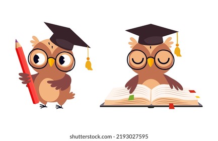 Cute Owl in Glasses in Graduation Hat Reading Book and Holding Pencil Vector Set