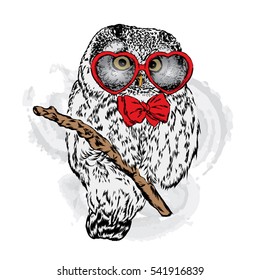 Cute owl with glasses Heart. Vector illustration. Valentine's Day.