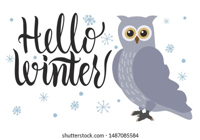 Cute owl hand drawn flat color illustration. Hello Winter hand lettering inscription. Funny woodland animal isolated cartoon character. Xmas sketch drawing. Winter inspiration phrase. Vector