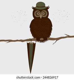 Cute owl with hat on a branch