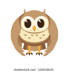Cute Owl Illustration