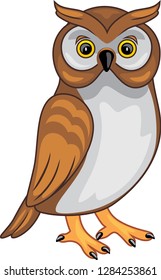 Cute owl isolated on white. Vector