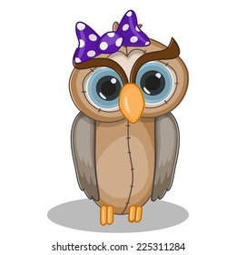 Cute Owl isolated on a white background 