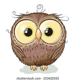 Cute Owl isolated on a white background 