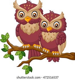 Cute owl on the branch
