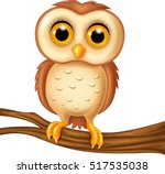 Cute owl on a tree branch