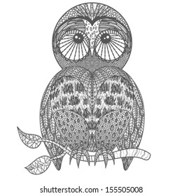 Cute owl on tree branch