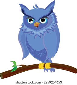 Cute owl on a tree branch