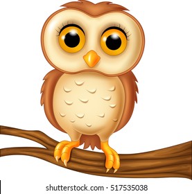 Cute owl on a tree branch