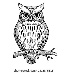 Cute owl sitting on a branch. Hand drawn vector illustration.