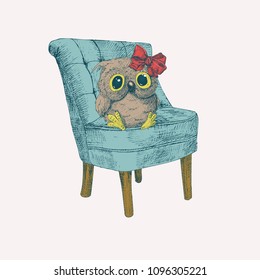 Cute owl with sitting on easychair. Sketch. Hand drawn