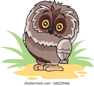 cute owl sitting on the ground