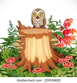 Cute owl sitting on stump surrounded by toadstools isolated on a white background