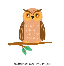 Cute owl sitting on tree branch. Funny wild bird isolated on white background. Colored flat vector illustration of baby character