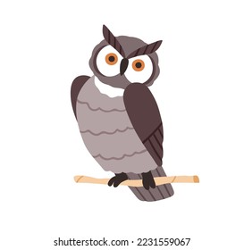 Cute owl sitting on tree branch. Funny night bird looking, watching with big bulging eyes. Adorable owlet on twig. Amusing eared birdie. Flat vector illustration isolated on white background