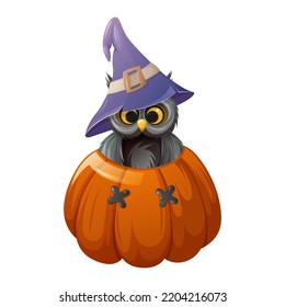 Cute owl in a sorcery hat is inside a pumpkin with funny face. Cartoon vector illustration for halloween