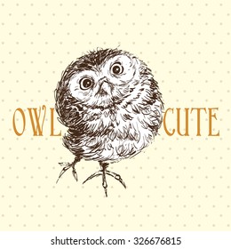 Cute owl standing and looking