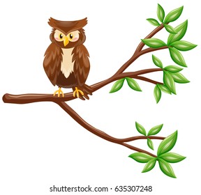 Cute owl standing on branch illustration