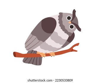 Oveja con la cabeza inclinada inclinada, sentada en la rama del árbol. Atractiva lechuga divertida, pájaro curioso que mira con grandes ojos abultados. Pájaros nocturnos. Ilustración vectorial plana aislada en fondo blanco