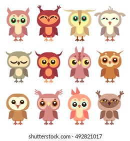 Cute owl vector flat characters set. Illustration of cartoon bird owl