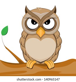 Cute Owl Vector Of Illustration