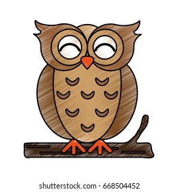 Cute owl vector illustration