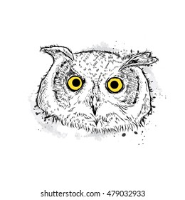 Cute owl. Vector illustration drawn by hand. Postcard or poster. Print on clothes. Beautiful bird.