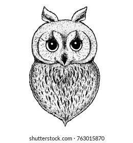 Cute owl vector illustration. Hand drawn sketch. Print design for t-shirt. Engraved style.