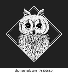 Cute owl vector illustration. Hand drawn sketch. Print design for t-shirt. Engraved style.