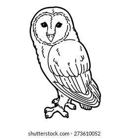 Cute owl. Vector illustration of cute outline barn owl