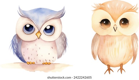 cute owl vector watercolor illustration