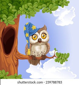 Cute owl wearing a hat sitting on a tree branch