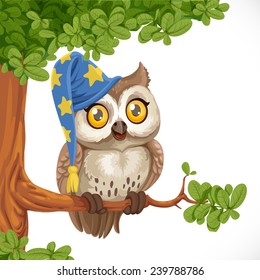 Cute owl wearing a hat sitting on a tree branch isolated on a white background