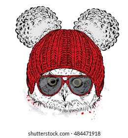 Cute owl wearing a hat and sunglasses.  for a card or poster. Vector . Bird.
