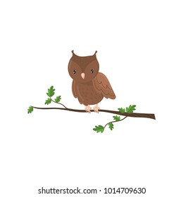 Cute owl woodland cartoon bird vector Illustration