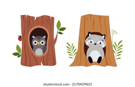 Cute owlet and raccoon sitting in tree hollow cartoon vector illustration