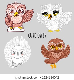 Cute owls characters. Vector hand drawn illustrations with birds theme