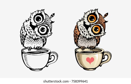 Cute owls collection color and line isolated on white. For coloring books, posters, print, t-shirt design element