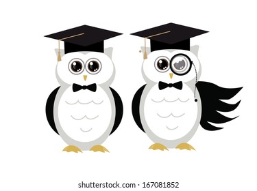 cute owls with graduation ceremony concept vector