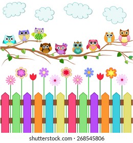 Cute Owls on a Branch