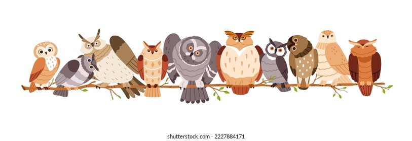 Cute owls sitting on tree branch in row. Funny curious birds together. Different adorable amusing wild owlets, birdies, feathered animals on twig. Flat vector illustration isolated on white background