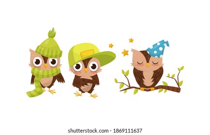 Cute Owls Wearing Cap and Sleeping on Tree Branch Vector Set