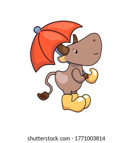 Cute ox cartoon character with umbrella. Cow vector illustration on white background. Friendly bull mascot. 2021 Year Lunar Zodiac Animal. Chinese New Year of Ox. Friendly domestic or farm animal icon