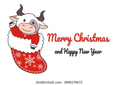 Cute ox sitting in the sock. Christmas hand drawn vector illustration for greeting card. Isolated on white background. 