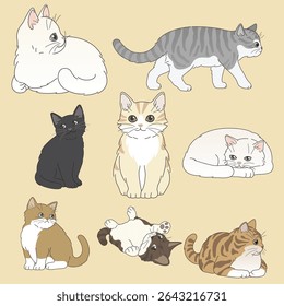 Cute pack of cat isolated vector