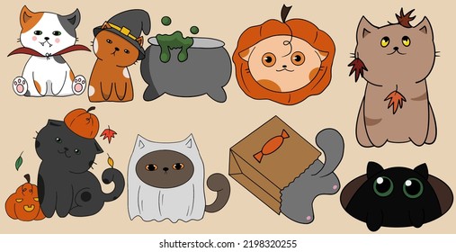 Cute pack of cats who were dressed for the Halloween celebration